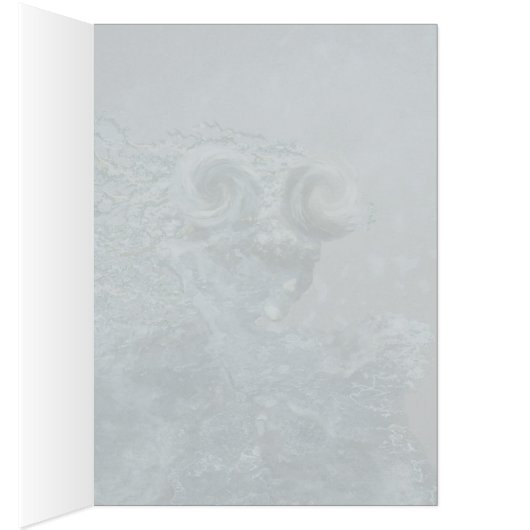 Enchanted Ice Maiden (Inside (Right))