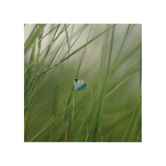 Enchanted Meadow Blue Butterfly Artwork Wood Wall Art