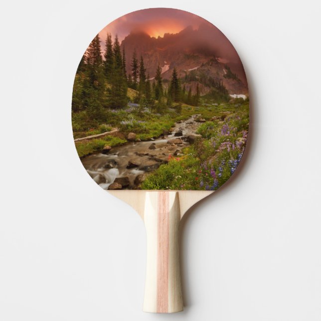 Enchanted Meadows Ping-Pong Paddle (Front)