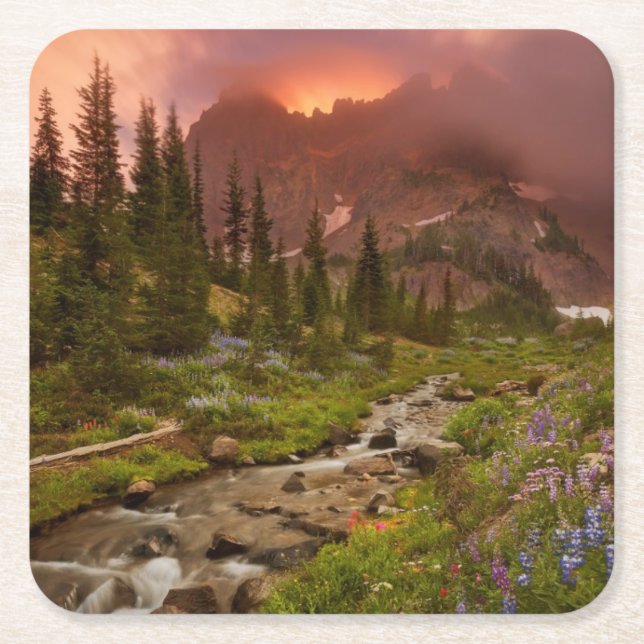 Enchanted Meadows Square Paper Coaster (Front)