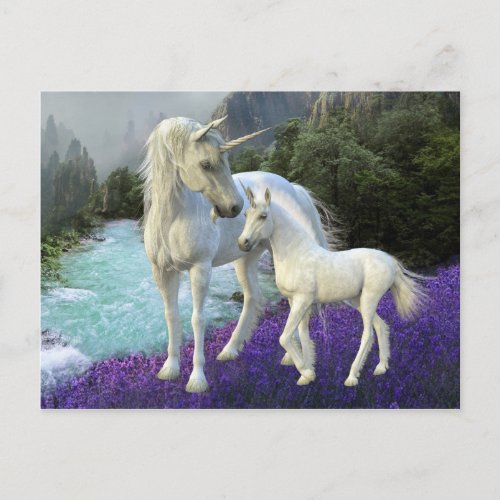 Enchanted Mother Unicorn and Foal Baby Postcard