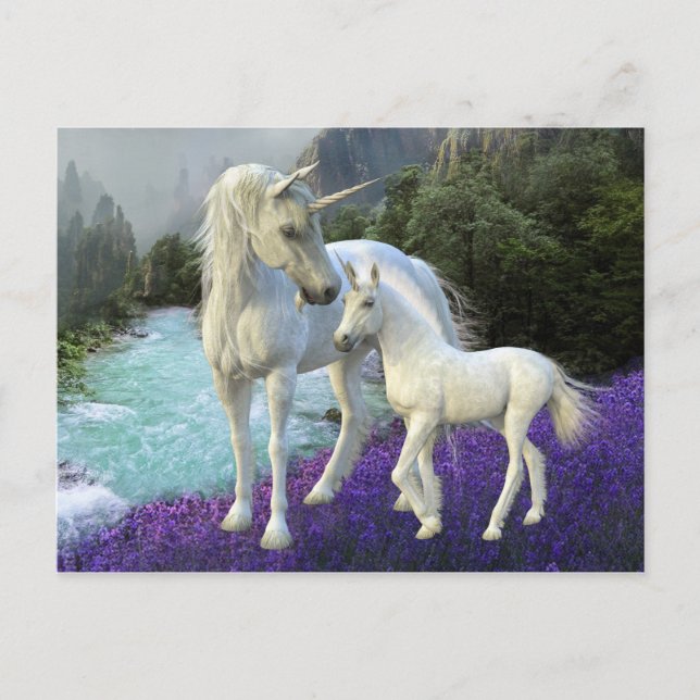 Enchanted Mother Unicorn and Foal Baby Postcard (Front)
