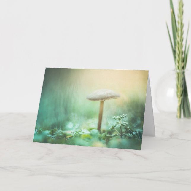 Enchanted Mushroom Nature Photo Card (Front)
