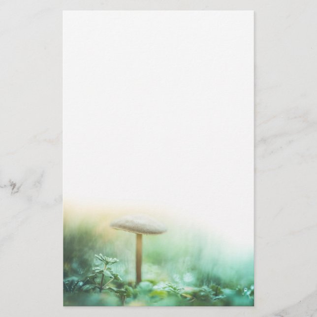 Enchanted Mushroom Nature Photo Stationery (Front)