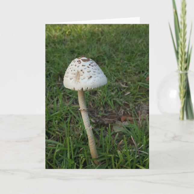 Enchanted Mushroom Notecards (Blank Inside) (Front)
