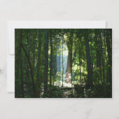 Enchanted, Mysteriious, Beautiful (Front)