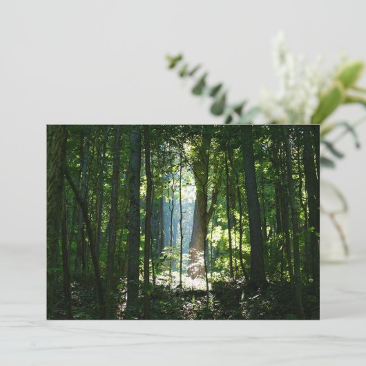 Enchanted, Mysteriious, Beautiful (Standing Front)