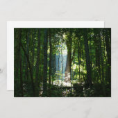 Enchanted, Mysteriious, Beautiful (Front/Back)