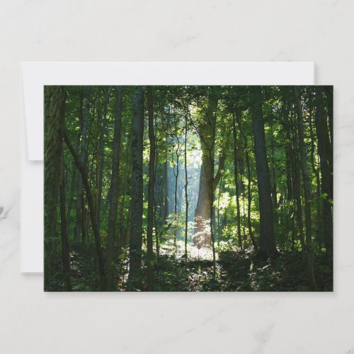 Enchanted, Mysteriious, Beautiful Invitations