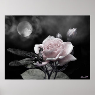 enchanted nights pink poster