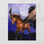 Enchanted Pegasus  Postcard