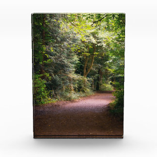 Enchanted Photo Block