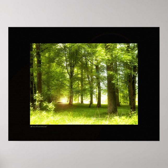 Enchanted Poster (Front)