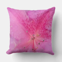 Enchanting Bloom 20" x 20"