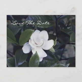 Enchanting Gardenia Save The Date Postcard