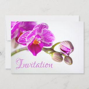 Enchanting Invitation Card with Orchid