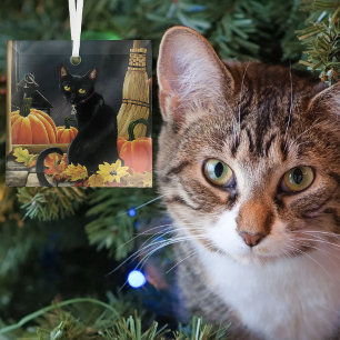 Enchanting Moonlit Black Autumn Cat Pumpkins Glass Ornament