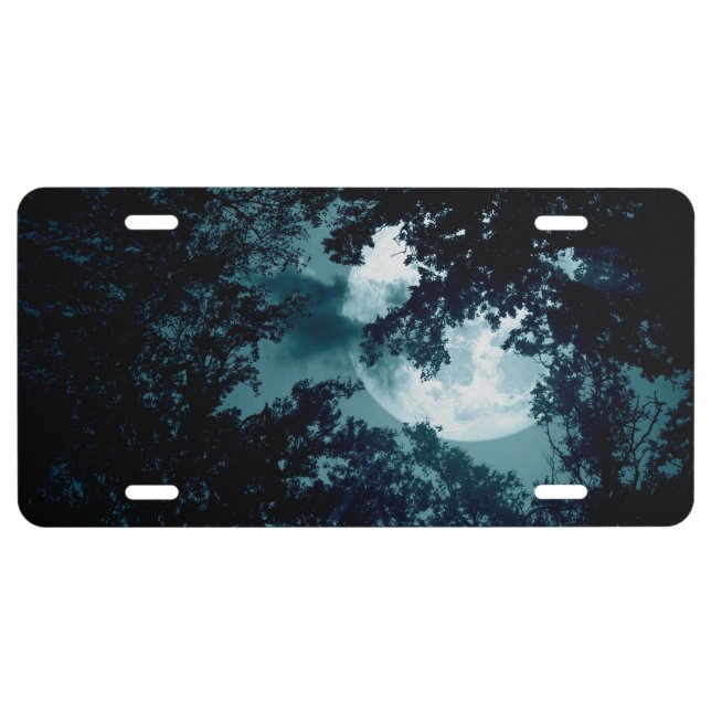 Enchanting Night Forest with Full Moon License Plate (Front)