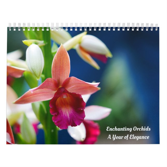 Enchanting Orchids Calendar (Cover)