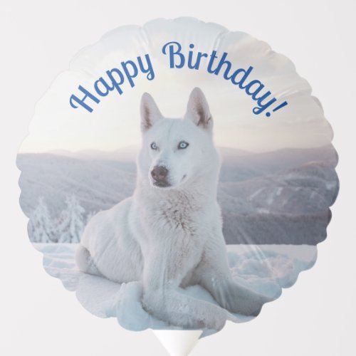Enchanting White Husky Dog _ Happy Birthday Balloon