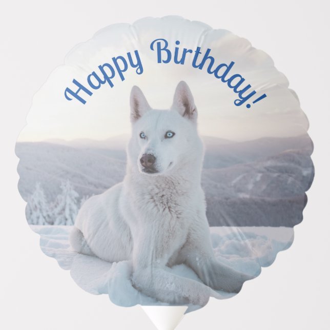Enchanting White Husky Dog - Happy Birthday Balloon (Front)