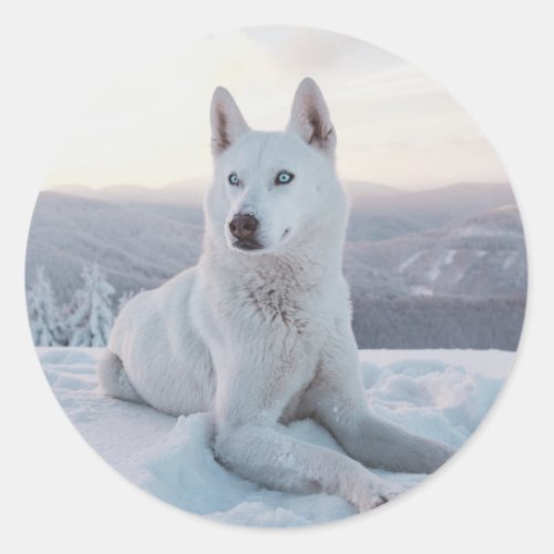 Enchanting White Husky Dog in the snow Classic Round Sticker