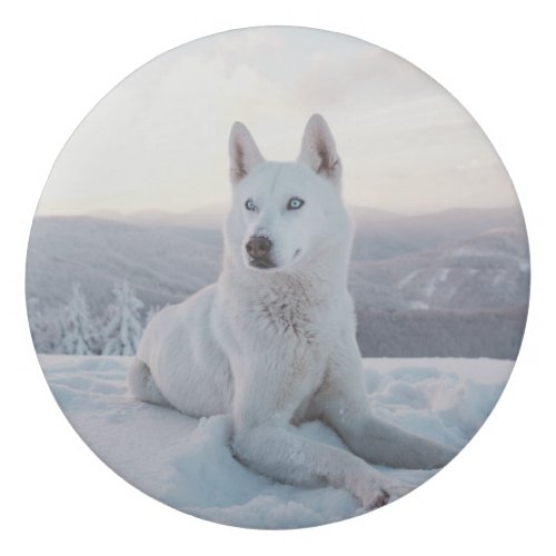 Enchanting White Husky Dog in the snow Eraser