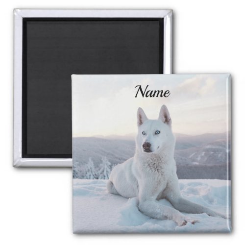 Enchanting White Husky Dog in the snow Magnet
