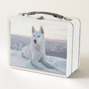 Enchanting White Husky Dog in the snow Metal Lunch Box