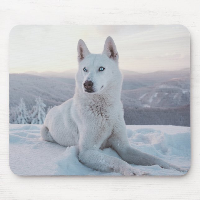Enchanting White Husky Dog in the snow Mouse Pad (Front)