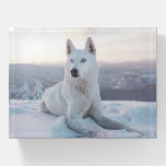 Enchanting White Husky Dog in the snow Paperweight