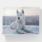 Enchanting White Husky Dog in the snow