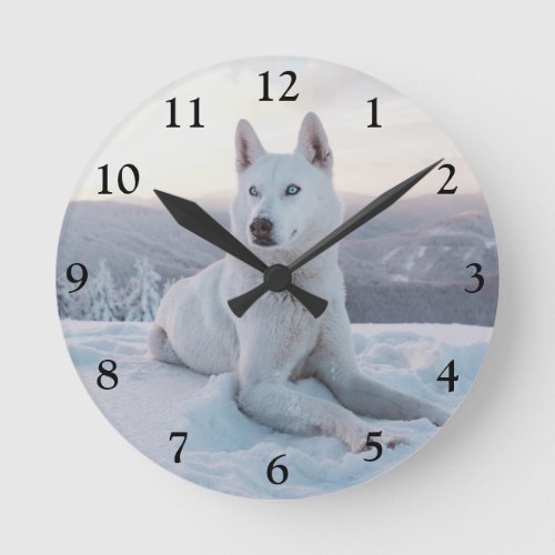 Enchanting White Husky Dog in the snow Round Clock