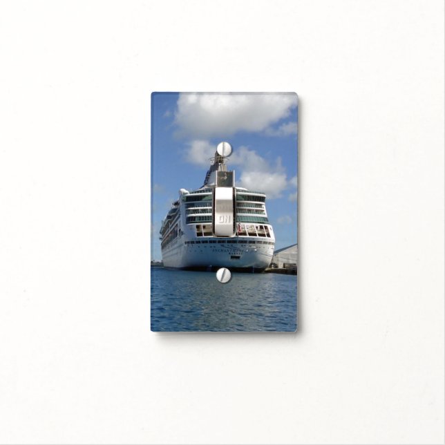 Enchantment Stern Light Switch Cover (In Situ)