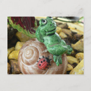 enchating decoration FROG Postcard