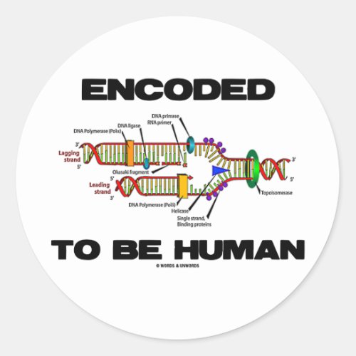 Encoded To Be Human DNA Replication Classic Round Sticker