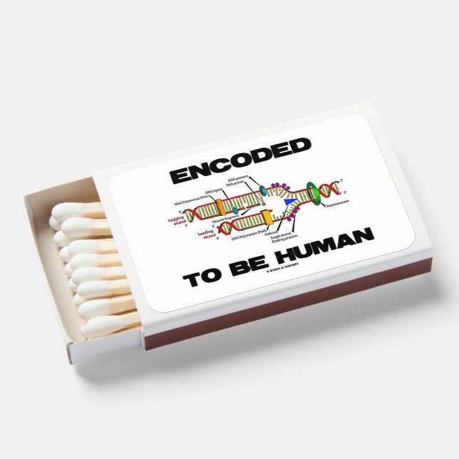 Encoded To Be Human DNA Replication Matchboxes (Front Open)