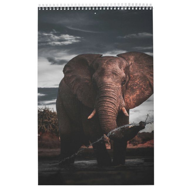 Encounters in Africa's Wild Kingdom, Calendar (Cover)