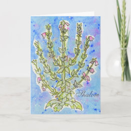EncourageMe "Shalom" Card