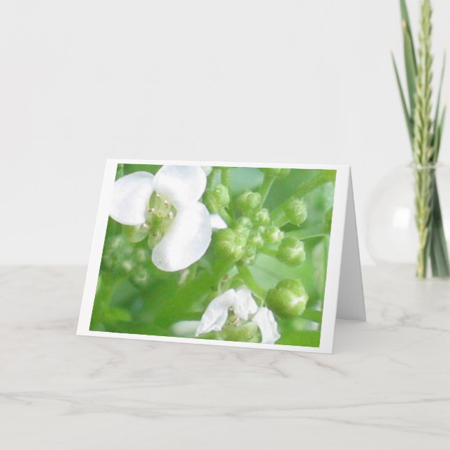 encouragement card (Front)