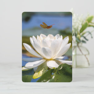 Encouragement Card: No mud, no lotus