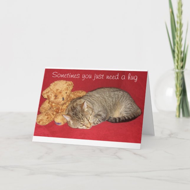 Encouragement Card with Cat and Teddy Bear (Front)