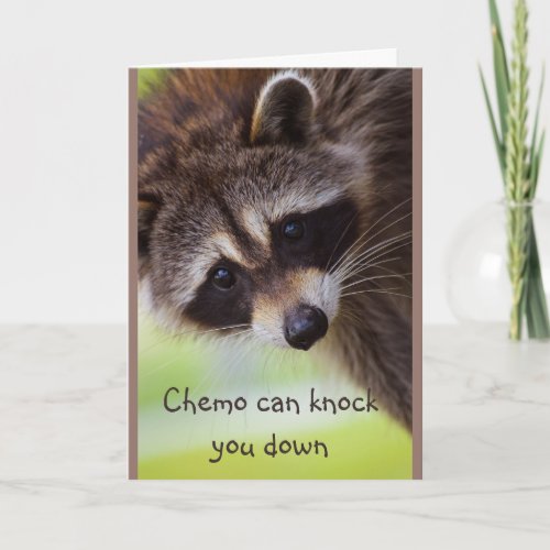 Encouragement Chemo can knock you down Raccoon Card