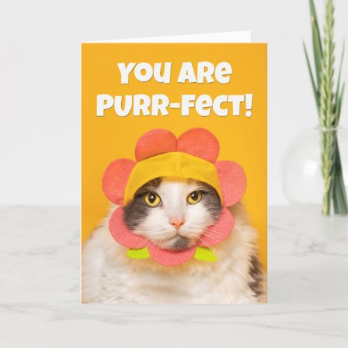 Encouragement Cute Cat in Flower Hat Humor  Holiday Card