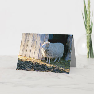 Encouragement, Cute Farm Scene in Sunlight Card