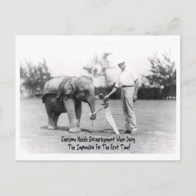 Encouragement - Elephant Playing Golf Postcard (Front)