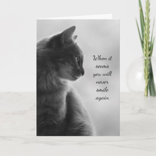 Encouragement Feel Better Sad Cat Animal Card