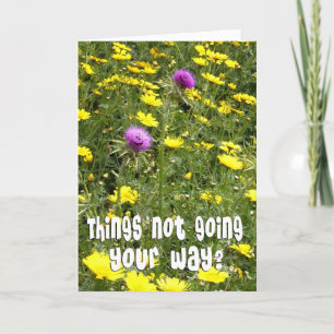 Encouragement - Funny Thistles Card