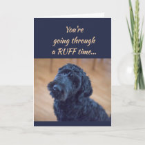 Encouragement/ Get Well Cute Black Curly Dog Pet Card