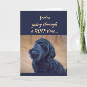 Encouragement/ Get Well Cute Black Curly Dog Pet Card